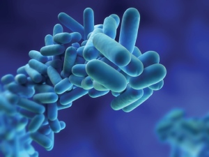 Airmec, legionella, Legionnaires' Disease