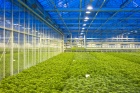 Ciat, air conditioning, control, monitoring