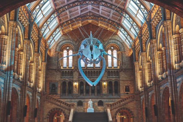 Gilberts Natvent units were used in the refurbishment of the Natural History Museum