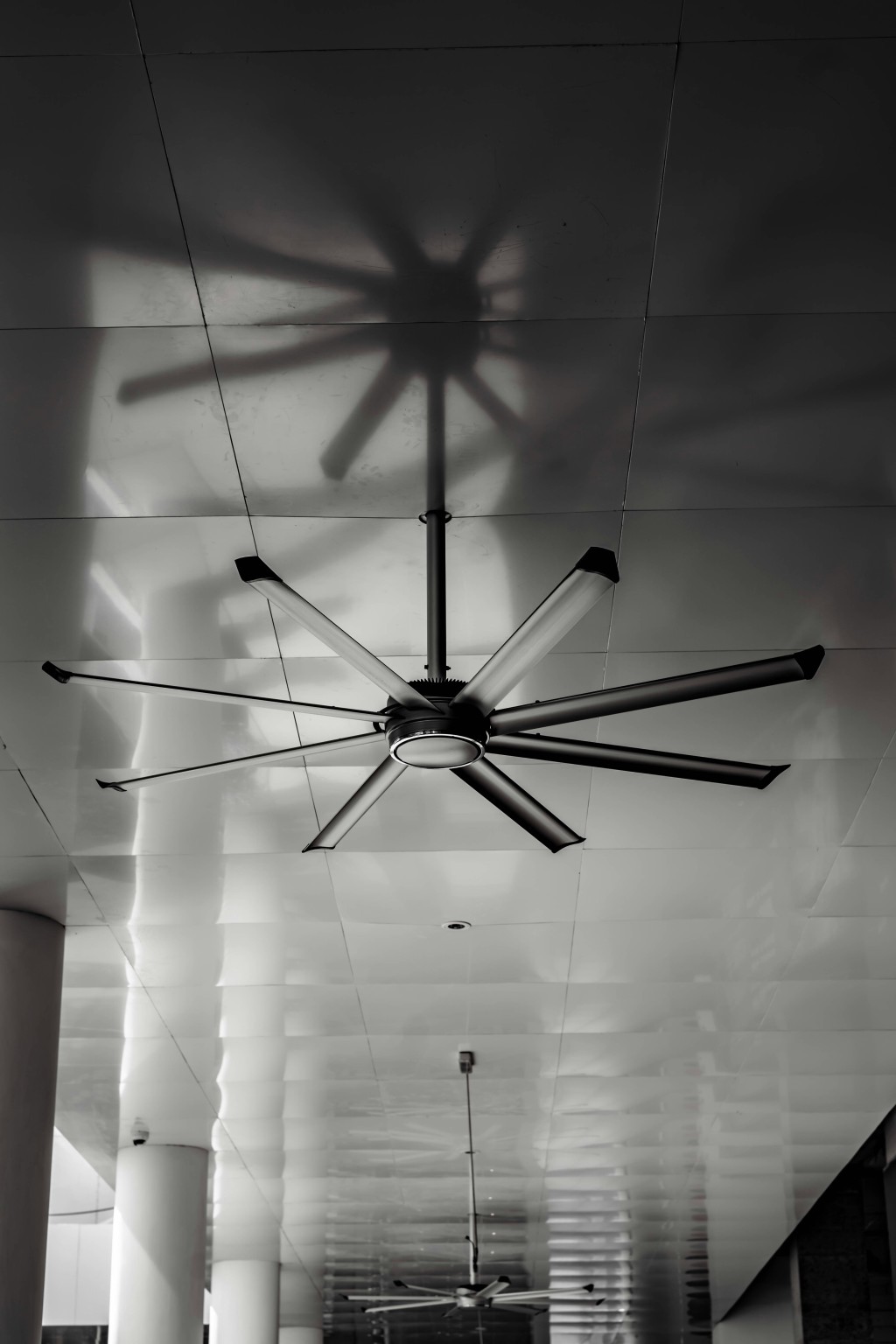 Ceiling Fan