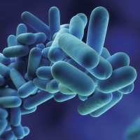 DHW,Durapipe,Legionella,Legionnaires' Disease