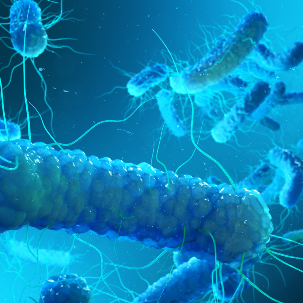 Legionella cases are increasing, linked to both climate change and increasingly complex pipework systems. 