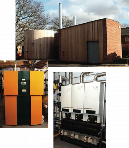 Buderus, Econergy, renewable energy, biomass boiler